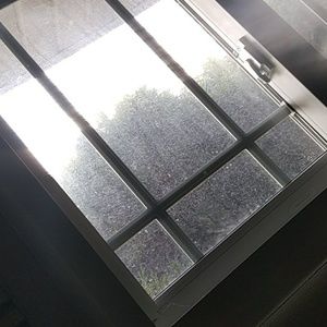 Meet your Posher, Annaliese roxanne